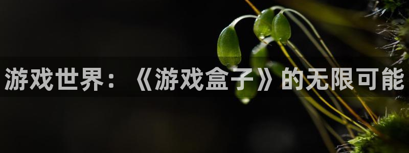 杏运连连