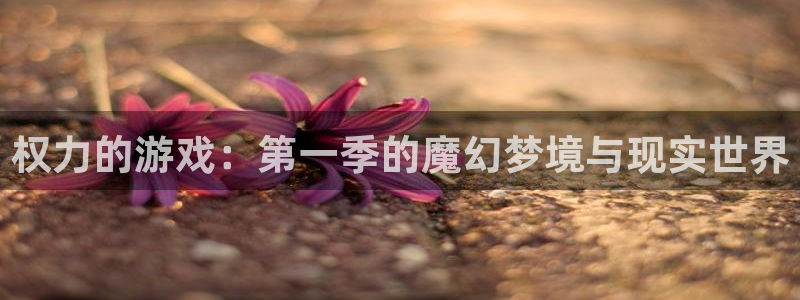 杏运娱乐注册流程