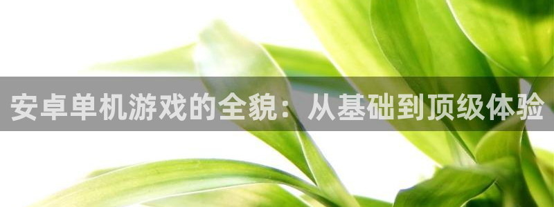 杏运注册平台：安卓单机游戏的全貌：从基础到顶级体验
