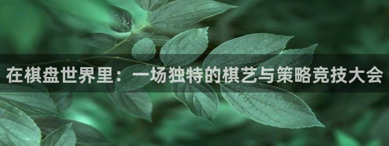 杏运体育官方网址：在棋盘世界里：一场独特的棋艺与策略竞技大会