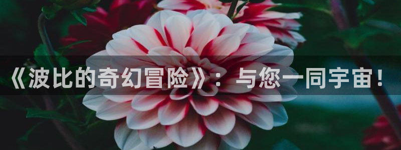 杏运娱乐手机端官网