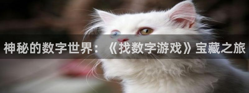 杏运娱乐注册资金多少