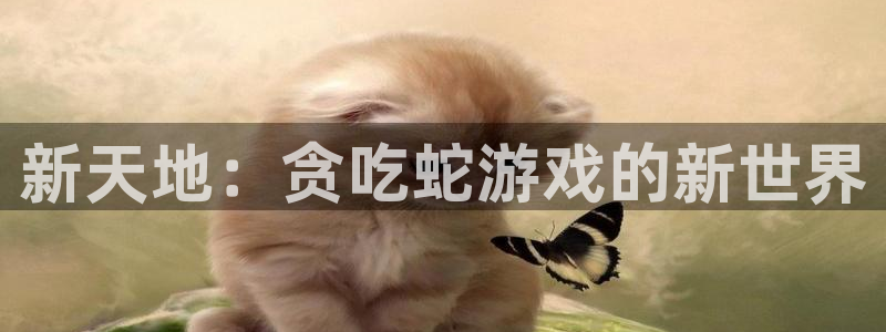 杏运体育官方网址