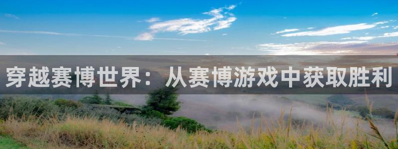 杏运娱乐：穿越赛博世界：从赛博游戏中获取胜利