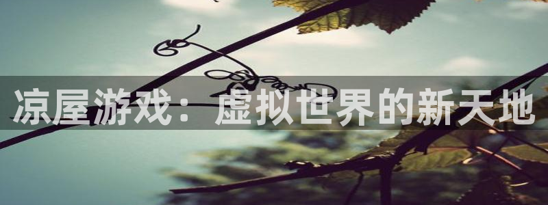 杏运体育官方网址