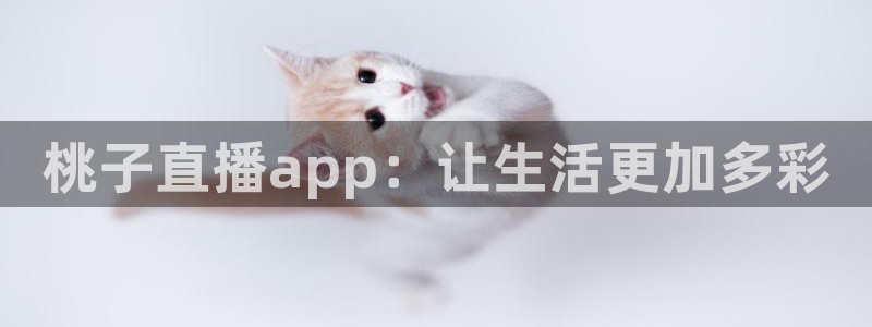 新闻图片