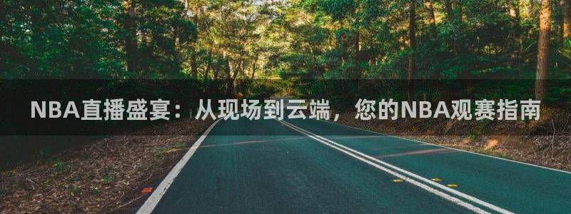 咪咕体育直播在线看：NBA直播盛宴：从现场到云端，您的NBA观赛指南