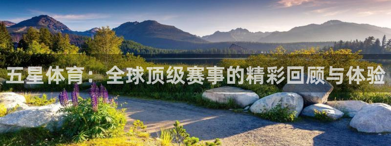 咪咕视频体育直播免费观看：五星体育：全球顶级赛事的精彩回顾与体验